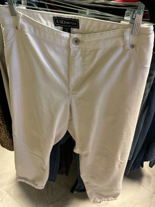 Cato Premium Pants 24W White