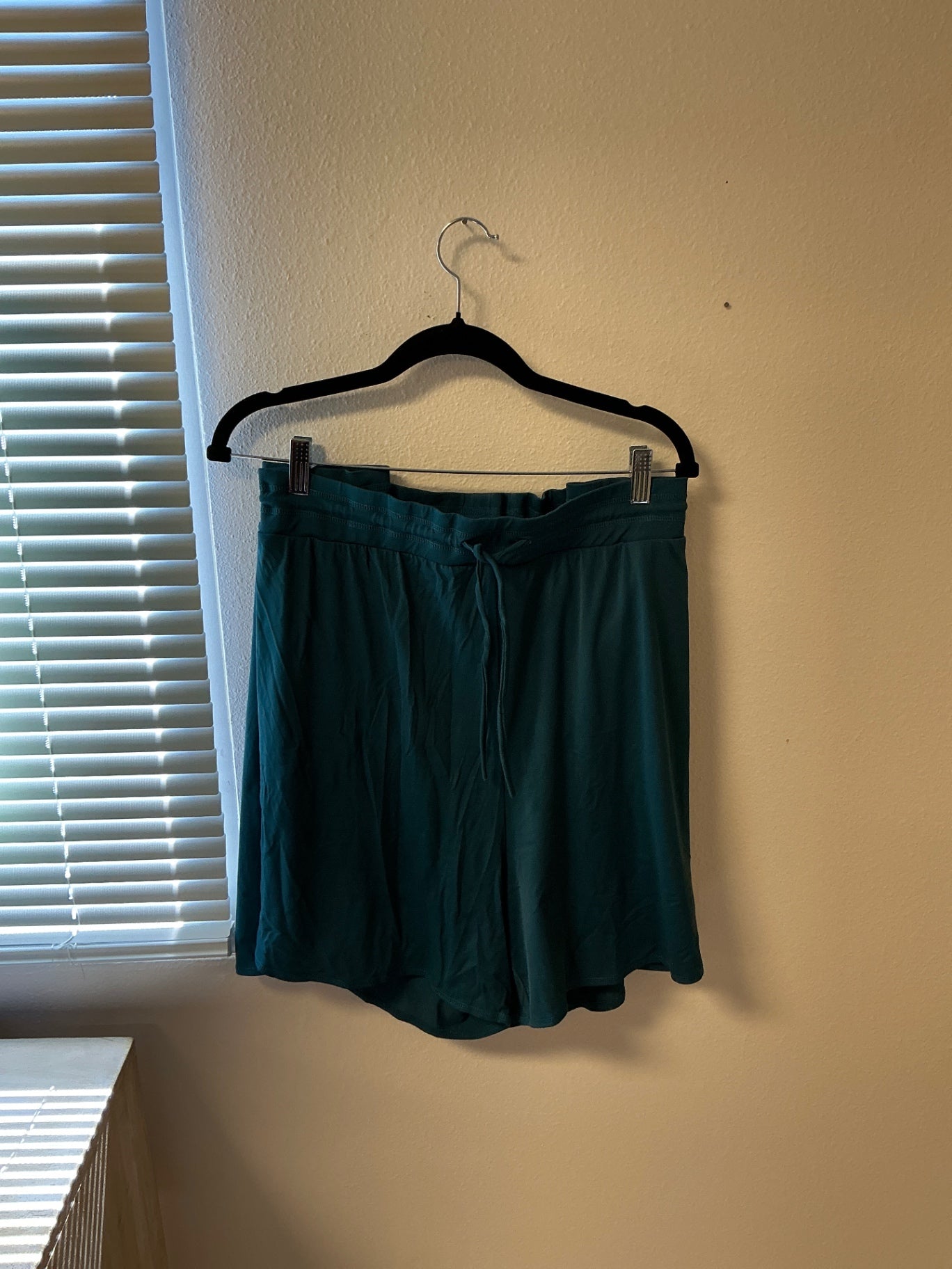 Zuda Shorts - Teal - 4X