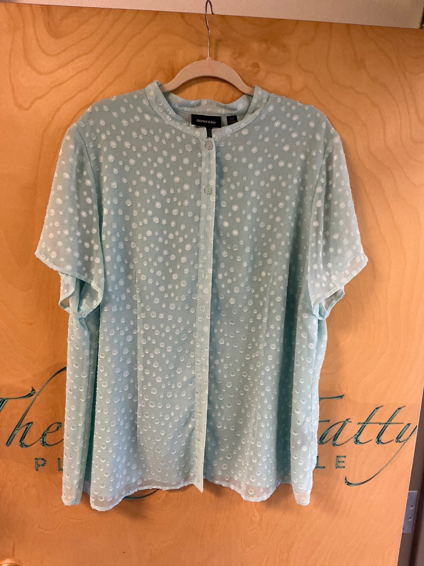 Avenue Blouse - Light Aqua - 22/24