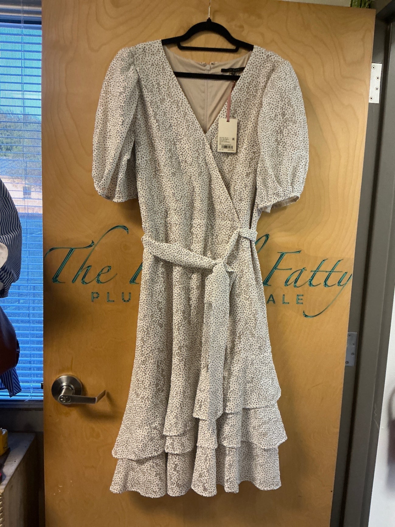 Alex Marie Dress - Beige with black dots - 16W NWT