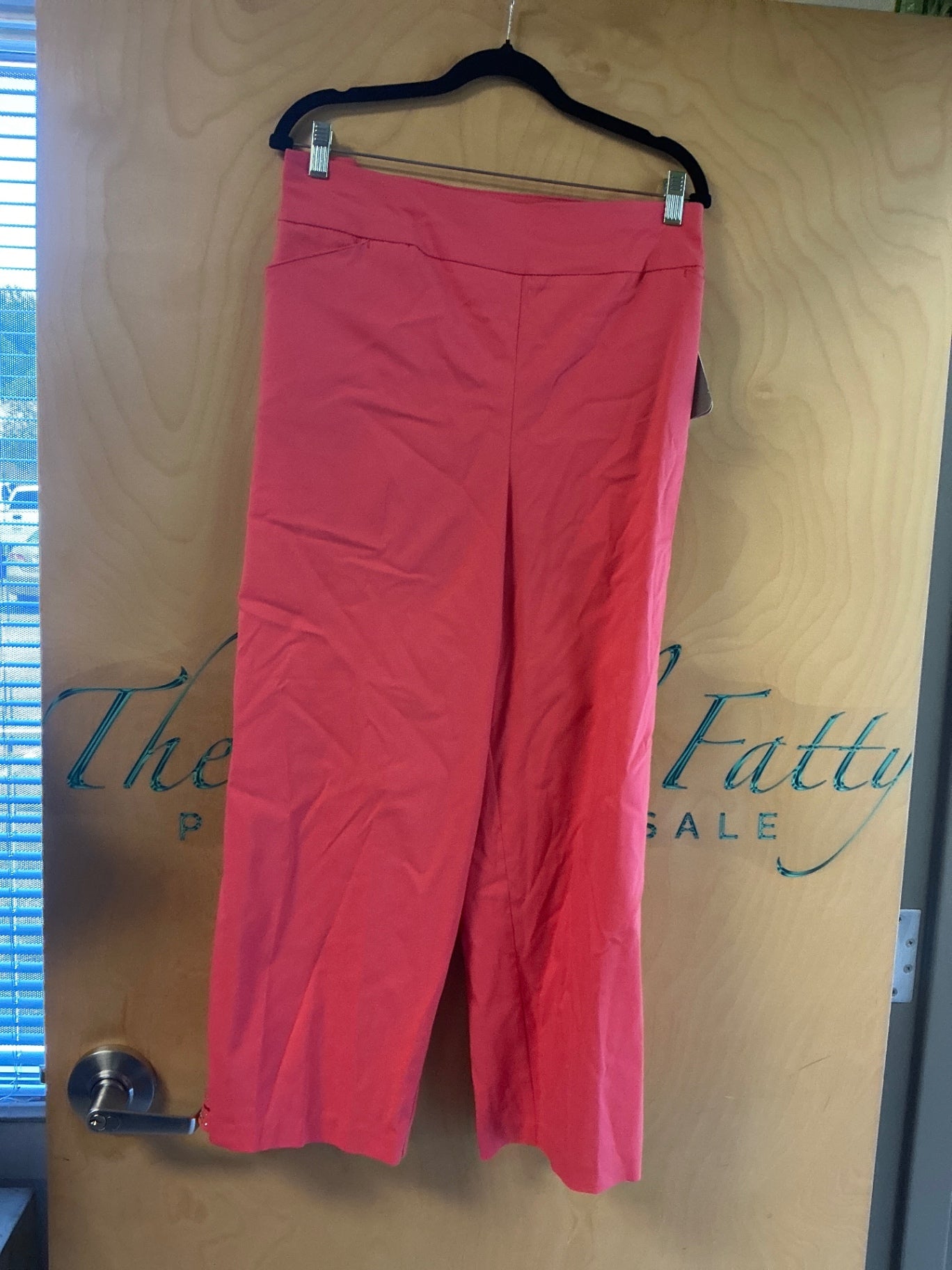 Allison Daley Pant - Pink - 24W NWT